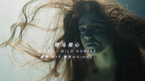 【Birdy】Wild.Horses.野马桀心.mrp翻译.中英字幕